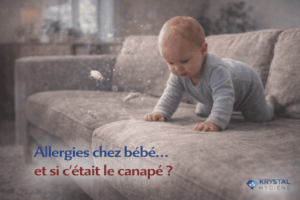 Lire la suite à propos de l’article Les acariens dans un canapé : un danger invisible mais bien réel
